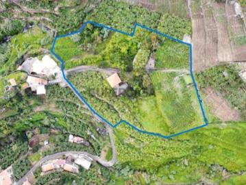 Quinta com 9.820 m² em Câmara de Lobos Ideal para Viticultura ou Agricultura Tropical