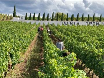 Quinta com 9 hectares, no Alto Douro Vinhateiro, Porto