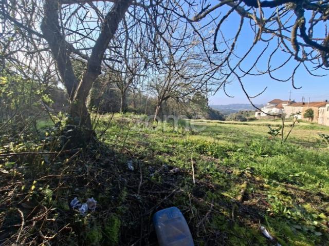 Quinta com 9 mil m2 na Póvoa da Rainha Santa P. da BEIRA ARGANIL