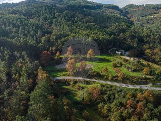 Quinta composta por habitação em ruínas, terreno agrícola. 0m² Vale De Bouro