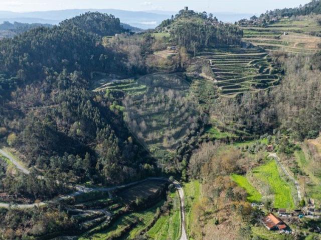 Quinta composta por habitação, terreno agrícola e terreno. 0m² Carvalho e Basto Santa Tecla