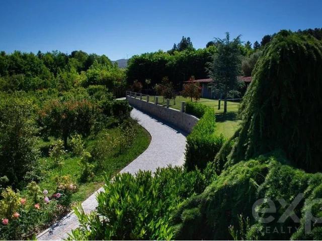 Quinta Contemporânea no Douro 258m² Lamego Alcamave e Sé