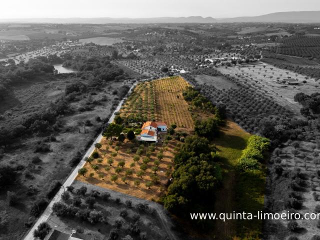 Quinta carinhosamente modernizada com olival e vinhedo. Apen. 122m² Casével e Vaqueiros