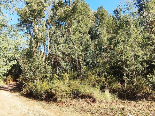 Quinta Casal dos Frades — mais de 53 hectares de legado e paisagem, às portas de Coimbra