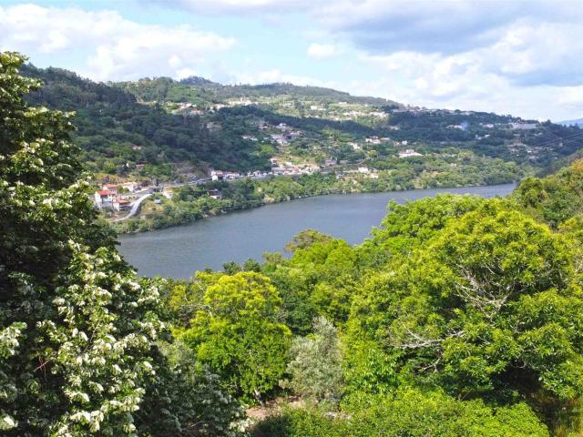 Quinta Centenária Vista e frente de Rio Douro 362m² Cinfães