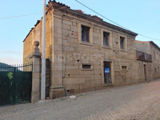 Quinta centenária com casa senhorial para reabilitação e olival para produção de azeite