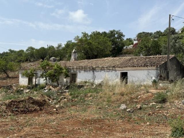 Quinta Centenária com Potencial para Turismo Rural