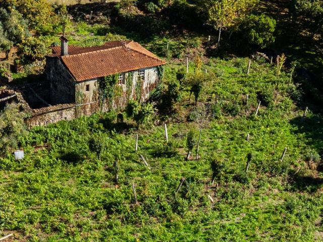 Moradia em Pedra para restauro com 2.814m² de Terreno – Covas, V.N. Cerveira