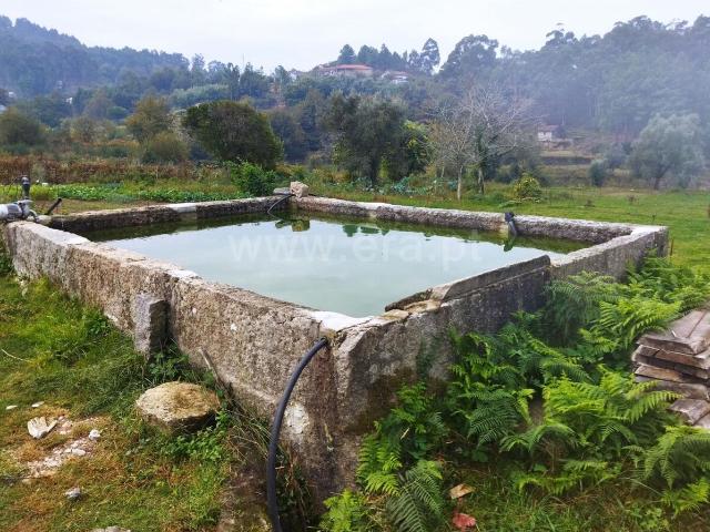 Quinta / Cinfães, Tarouquela