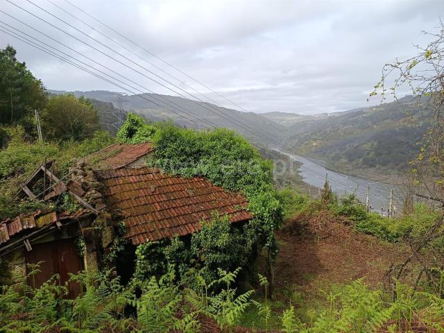 Quinta / Cinfães, Rio Douro