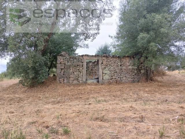 Quinta a 15 minutos de Castelo Branc0