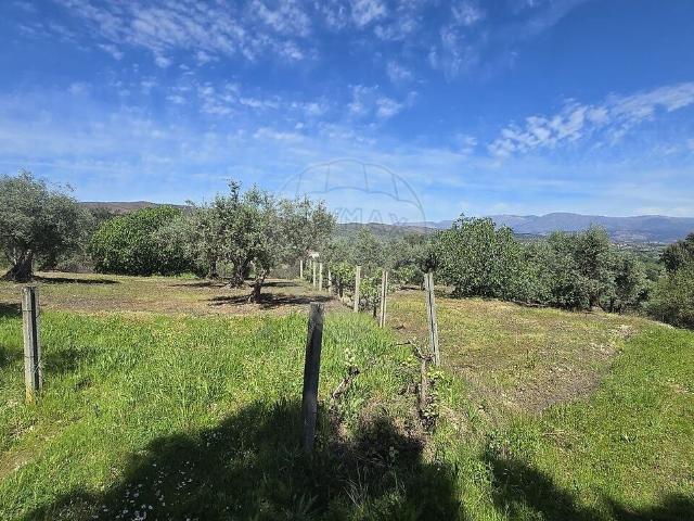 Quinta à venda em Telhado, Fundão RE/MAX Portugal