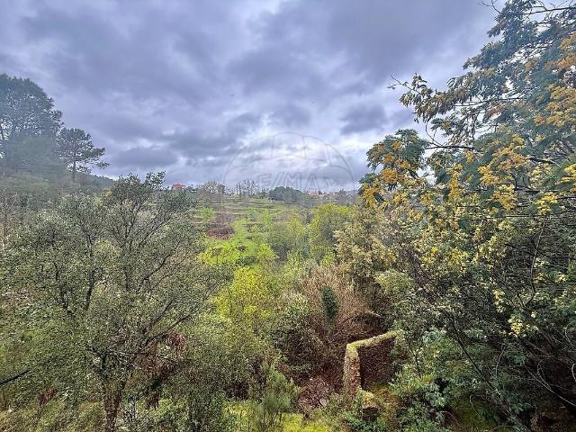 Quinta à venda em Tortosendo, Covilhã RE/MAX Portugal