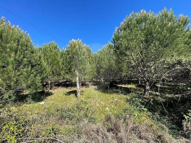 Quinta à venda em Tramagal, Abrantes RE/MAX Portugal