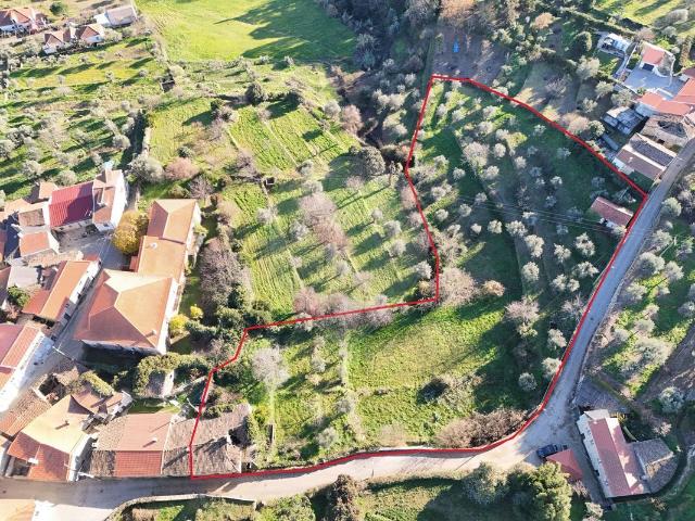 Quinta à venda em Trancoso