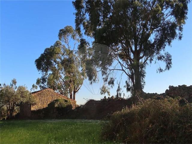 Quinta à venda em Vale de Prazeres e Mata da Rainha, Fundão RE/MAX Portugal