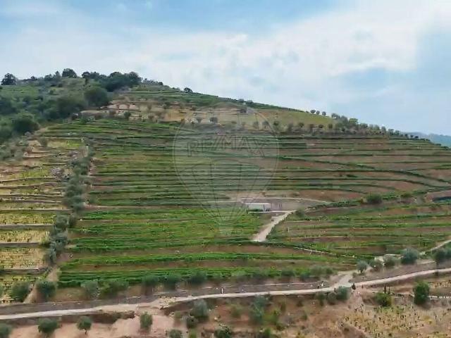 Quinta à venda em Valença do Douro, Tabuaço RE/MAX Portugal