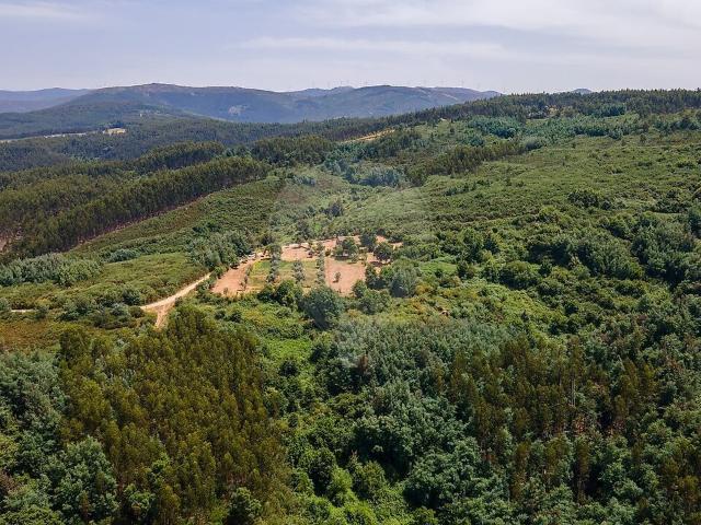 Quinta à venda em Vila Cova de Alva e Anceriz, Arganil RE/MAX Portugal