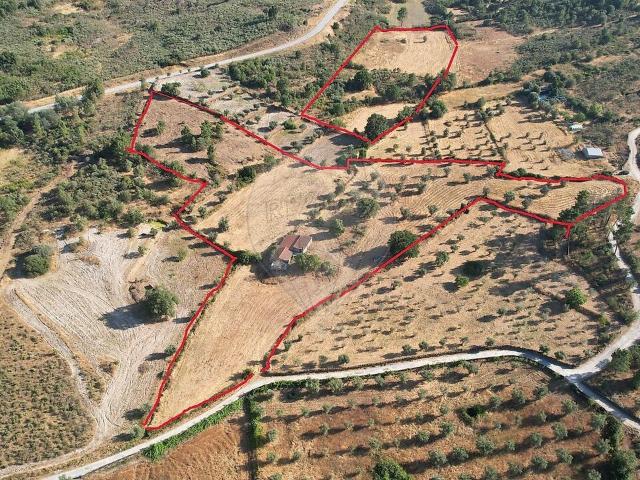 Quinta à venda em Vila Franca da Serra, Gouveia RE/MAX Portugal