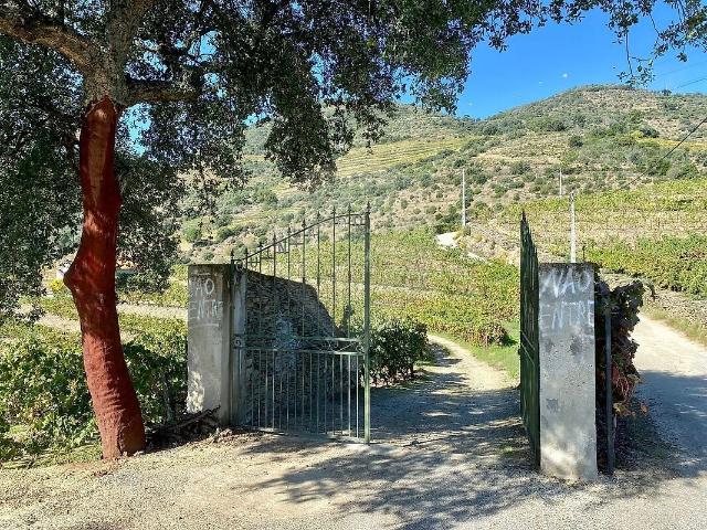 Quinta à venda em Vila Seca e Santo Adrião, Armamar RE/MAX Portugal