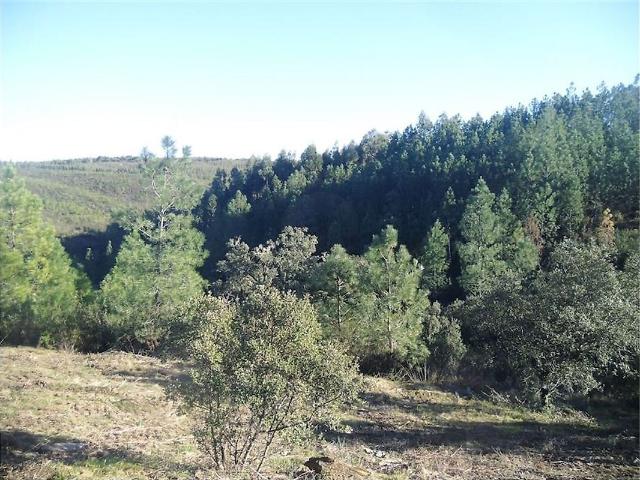 Quinta à venda em Vila Velha de Ródão, Vila Velha de Ródão RE/MAX Portugal