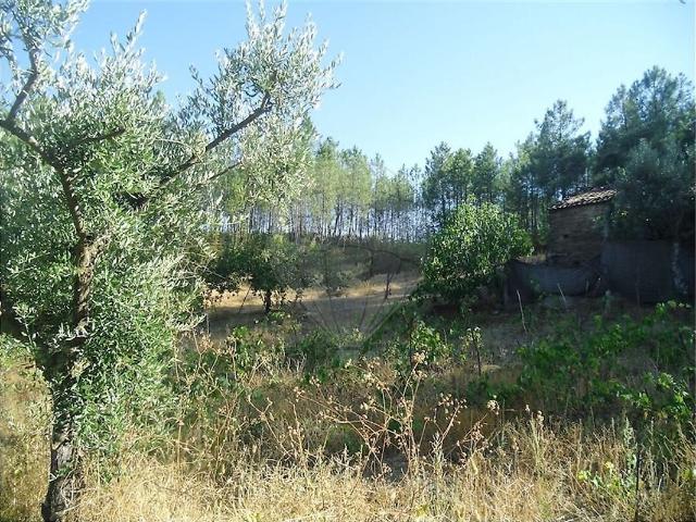 Quinta à venda em Vila Velha de Ródão, Vila Velha de Ródão RE/MAX Portugal