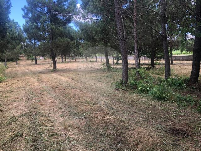 Quinta à venda em Viseu