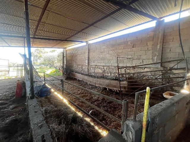Quinta à venda em Zebreira e Segura, Idanha a Nova RE/MAX Portugal