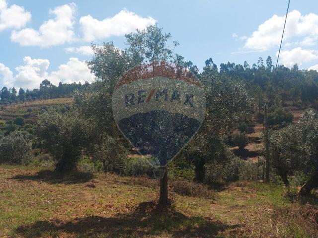 Quinta à venda em Abrantes