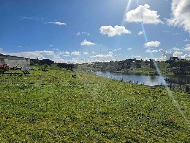 Quinta à venda em Alcórrego e Maranhão, Avis RE/MAX Portugal