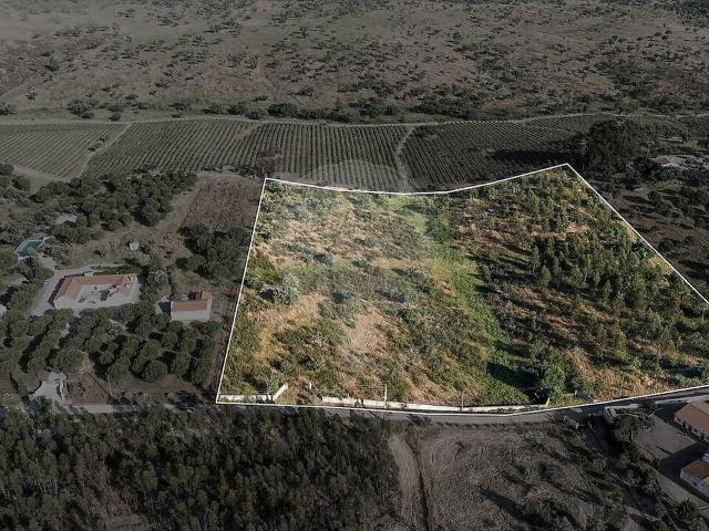 Quinta à venda em Alcórrego e Maranhão, Avis RE/MAX Portugal