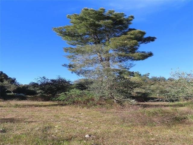 Quinta à venda em Aldeia do Bispo, Águas e Aldeia de João Pires, Penamacor RE/MAX Portugal