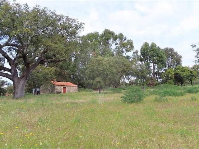 Quinta à venda em Aldeia do Bispo, Águas e Aldeia de João Pires, Penamacor RE/MAX Portugal