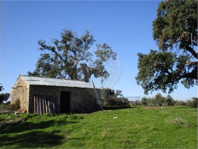Quinta à venda em Aldeia de Santa Margarida, Idanha a Nova RE/MAX Portugal