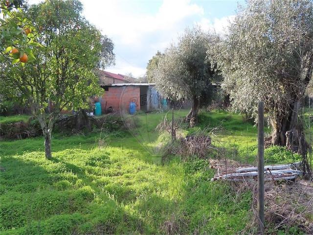 Quinta à venda em Aldeia de Santa Margarida, Idanha a Nova RE/MAX Portugal