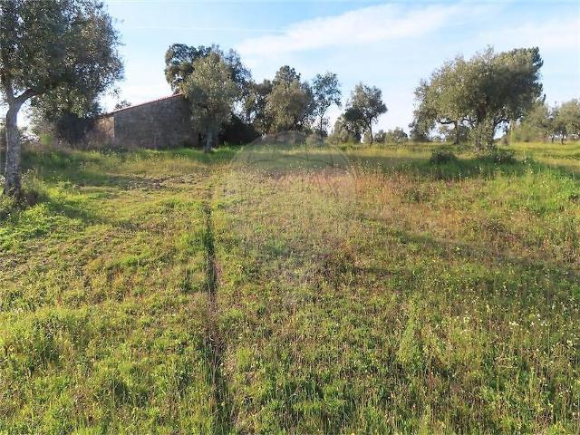 Quinta à venda em Aldeia de Santa Margarida, Idanha a Nova RE/MAX Portugal