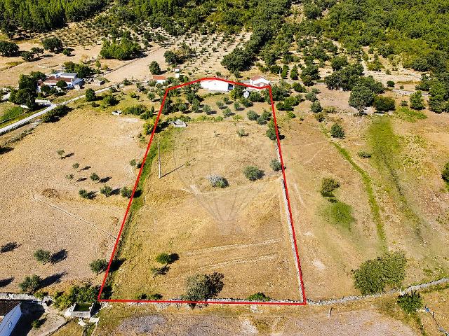 Quinta à venda em Alegrete, Portalegre RE/MAX Portugal