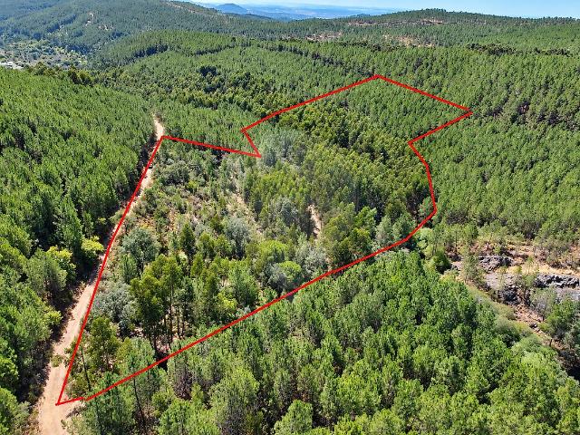 Quinta à venda em Alegrete, Portalegre RE/MAX Portugal