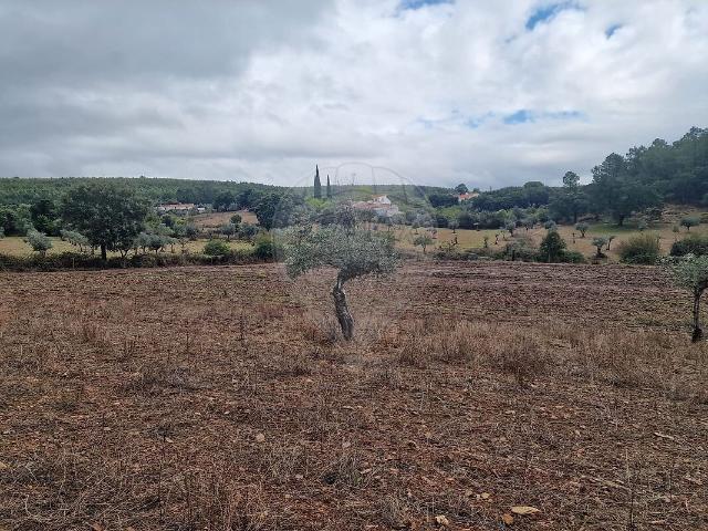 Quinta à venda em Alegrete, Portalegre RE/MAX Portugal