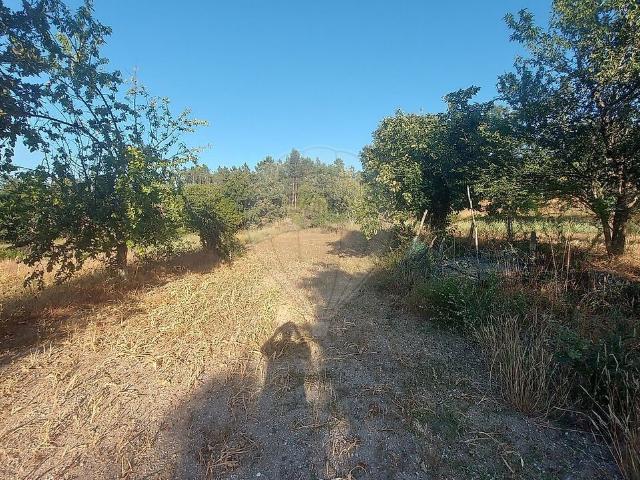 Quinta à venda em Algodres, Fornos de Algodres RE/MAX Portugal