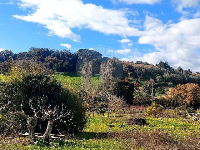 Quinta à venda em Alhandra, São João dos Montes e Calhandriz, Vila Franca de Xira RE/MAX Portugal