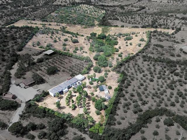 Quinta à venda em Assunção, Ajuda, Salvador e Santo Ildefonso, Elvas RE/MAX Portugal