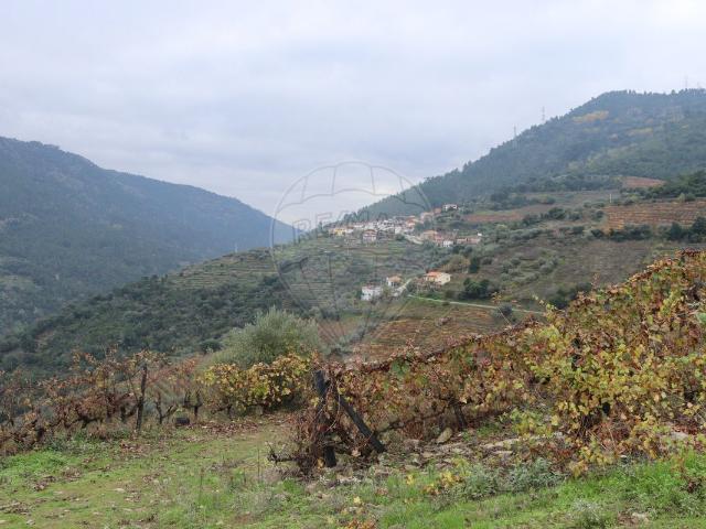 Quinta à venda em Armamar