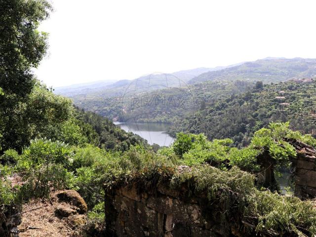 Quinta à venda em Baião