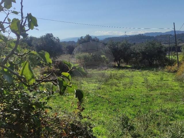 Quinta à venda em Belmonte e Colmeal da Torre, Belmonte RE/MAX Portugal