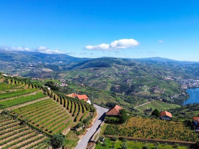 Quinta à venda em Cambres, Lamego RE/MAX Portugal