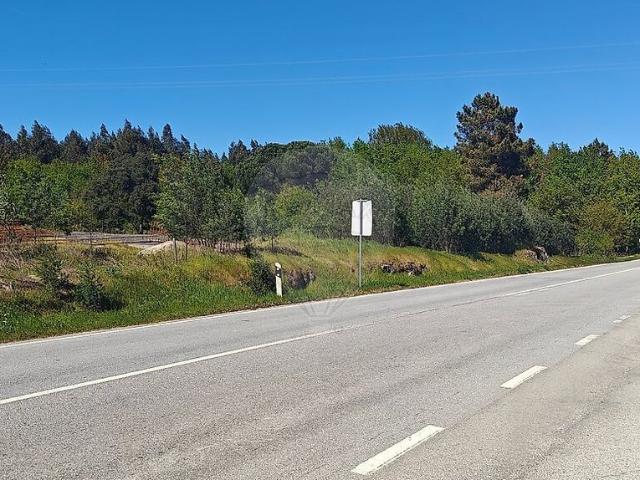 Quinta à venda em Canas de Senhorim, Nelas RE/MAX Portugal