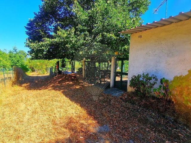 Quinta à venda em Canas de Senhorim, Nelas RE/MAX Portugal