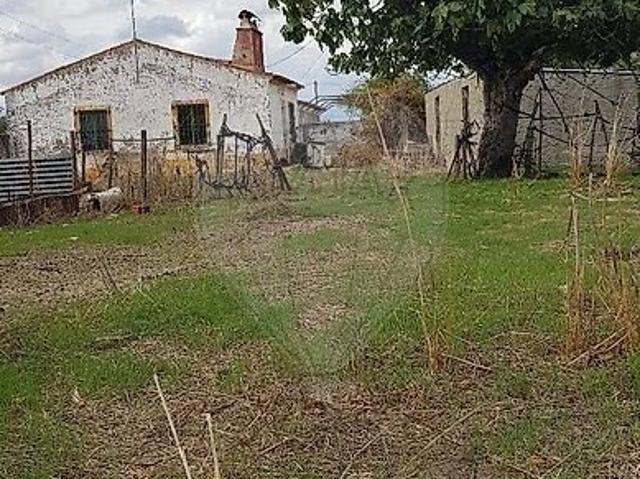 Quinta à venda em Cano, Sousel RE/MAX Portugal