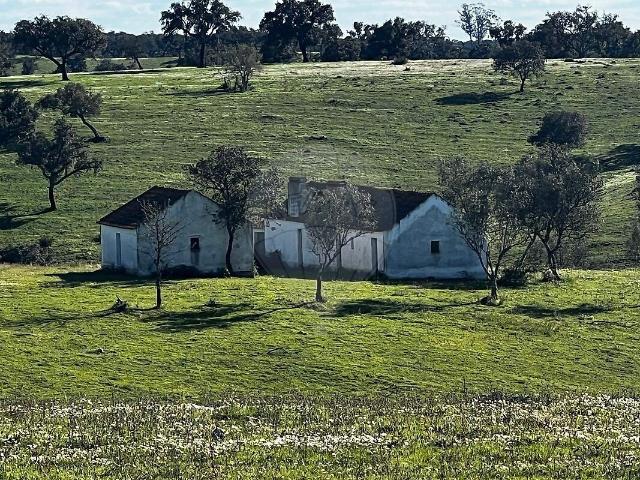 Quinta à venda em Cabrela, Montemor o Novo RE/MAX Portugal